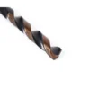 HSS metalbor - 3 mm - bronze oxid coating